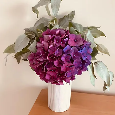 펜션 Casa Dos Reis