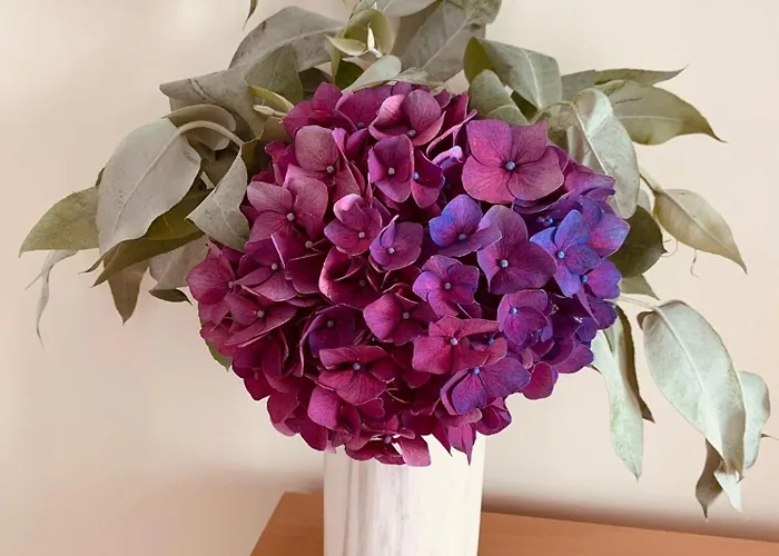 Vakantiehuis Casa Dos Reis